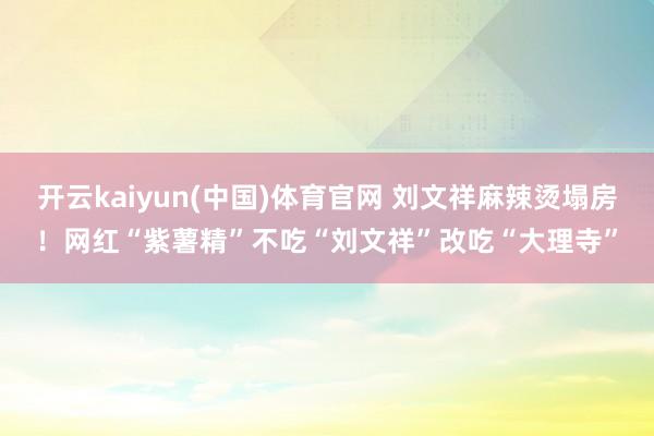 开云kaiyun(中国)体育官网 刘文祥麻辣烫塌房！网红“紫薯精”不吃“刘文祥”改吃“大理寺”