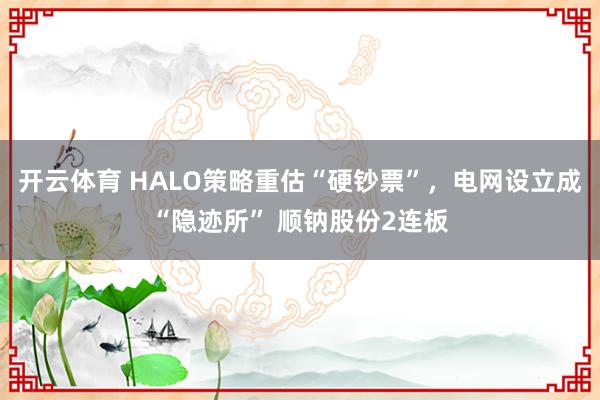 开云体育 HALO策略重估“硬钞票”，电网设立成“隐迹所” 顺钠股份2连板