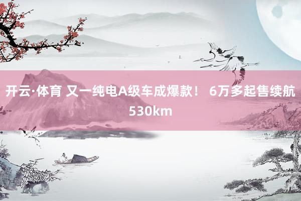 开云·体育 又一纯电A级车成爆款！ 6万多起售续航530km