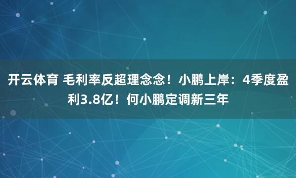 开云体育 毛利率反超理念念！小鹏上岸：4季度盈利3.8亿！何小鹏定调新三年