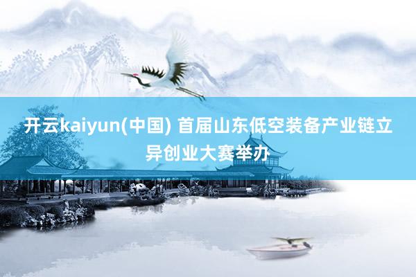 开云kaiyun(中国) 首届山东低空装备产业链立异创业大赛举办
