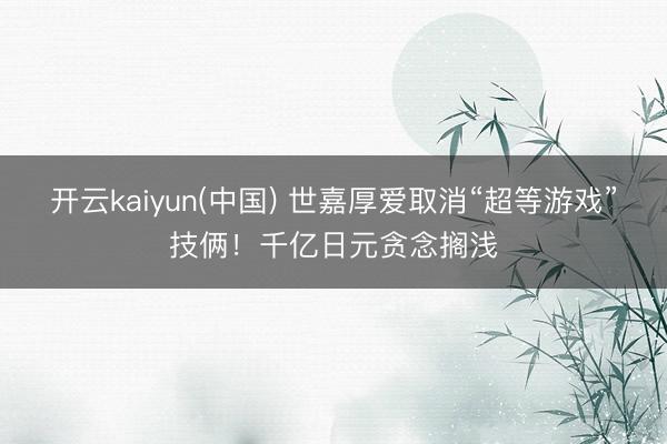 开云kaiyun(中国) 世嘉厚爱取消“超等游戏”技俩！千亿日元贪念搁浅