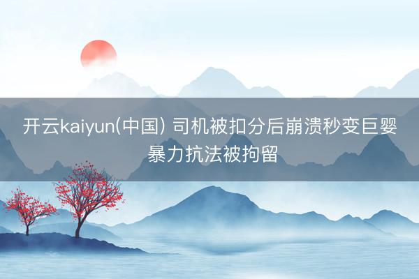 开云kaiyun(中国) 司机被扣分后崩溃秒变巨婴 暴力抗法被拘留