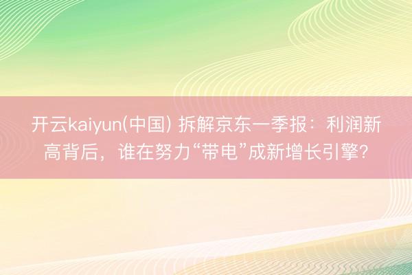 开云kaiyun(中国) 拆解京东一季报：利润新高背后，谁在努力“带电”成新增长引擎？