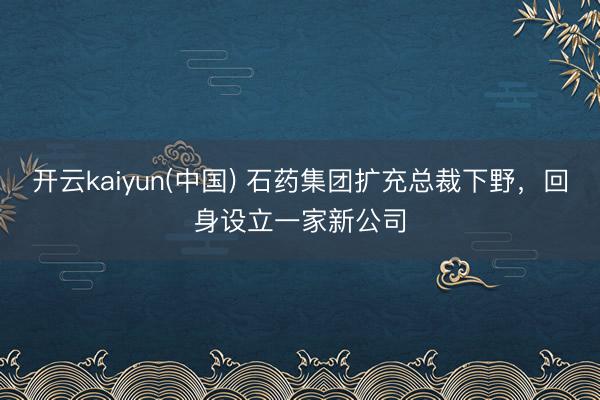开云kaiyun(中国) 石药集团扩充总裁下野，回身设立一家新公司